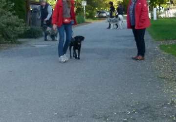 Spaziergang_26