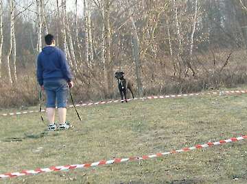 Longieren_9