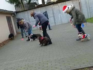 Weihnachten 2013_21