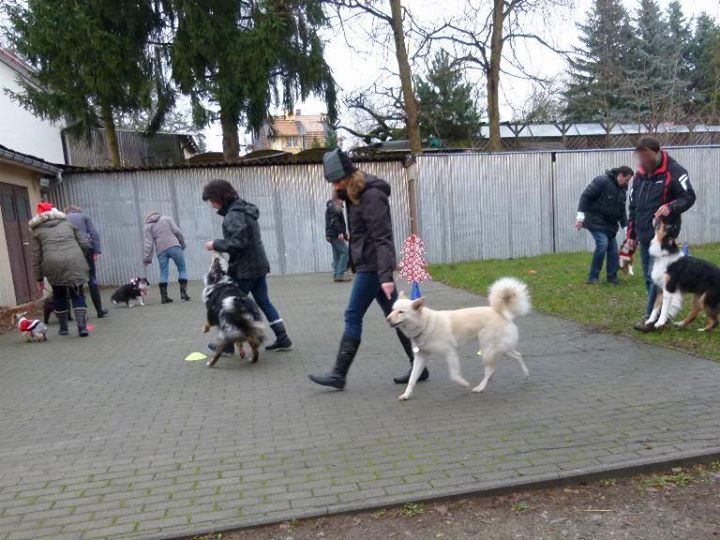 Weihnachten 2013_29