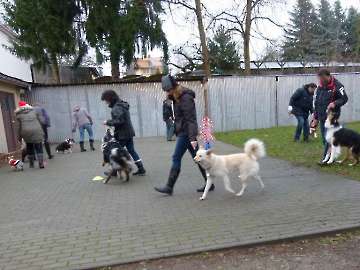 Weihnachten 2013_29