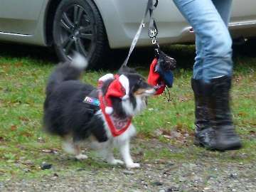 Weihnachten 2013_6