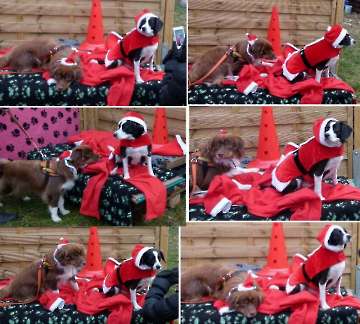 Weihnachten 2012_10