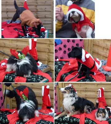 Weihnachten 2012_6