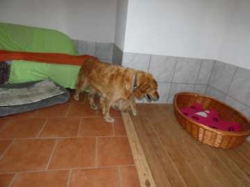 Pension_72
