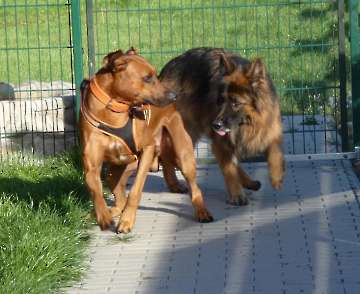 Pension_76