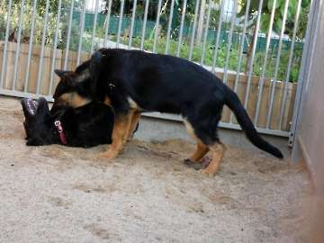 Pension_11