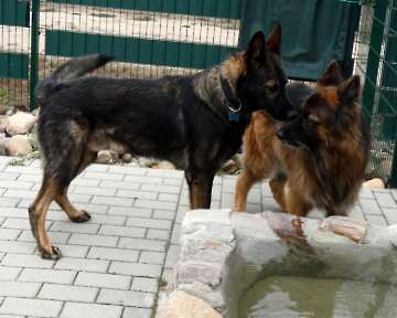 Pension_2