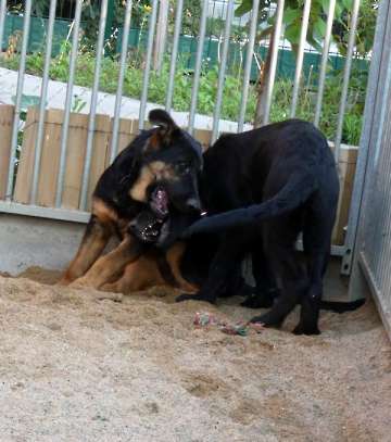 Pension_3