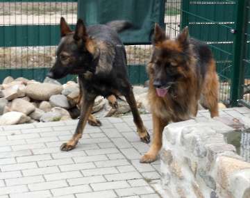 Pension_32