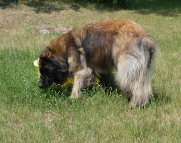 Pension_24
