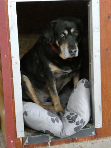 Pension_1