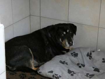 Pension_12