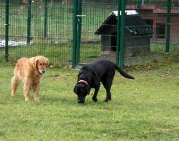 Pension_18
