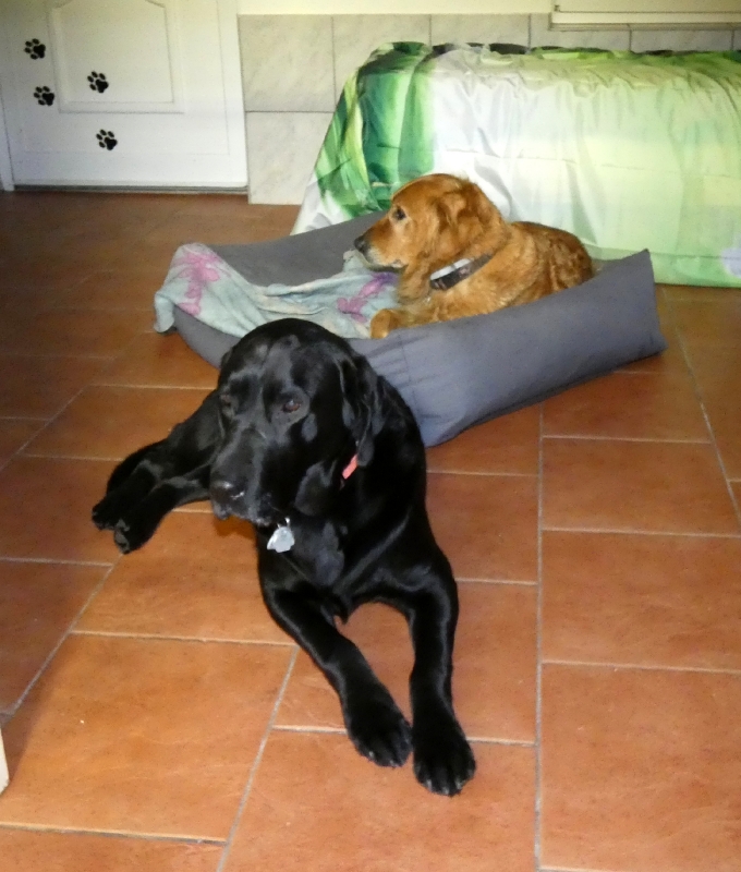Pension_2