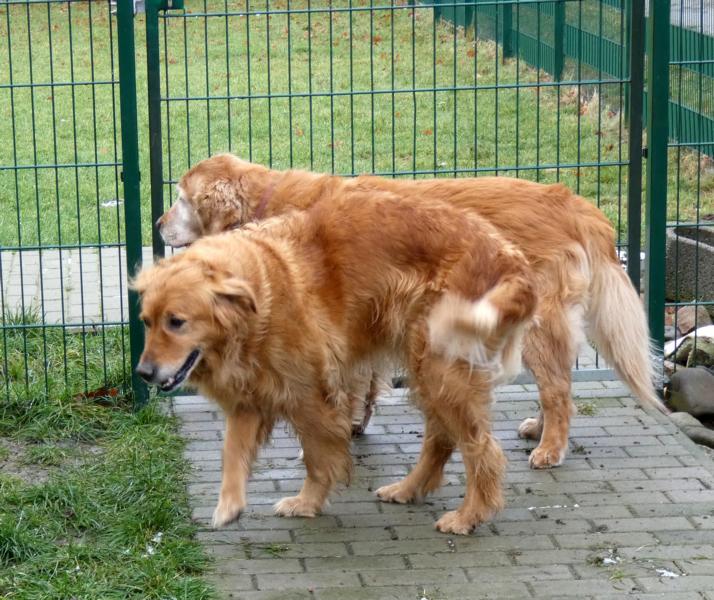 Pension_3