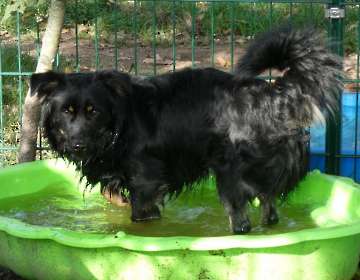 Pension_2