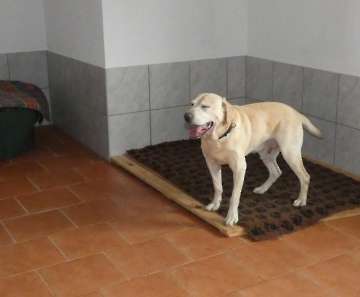 Pension_6
