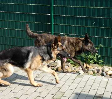 Pension_2