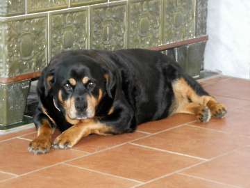 Pension_4