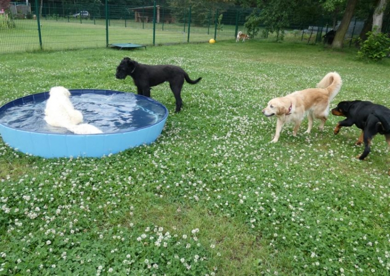 Pension_1