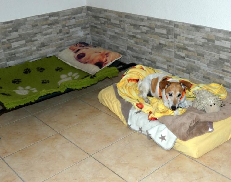 Pension_8