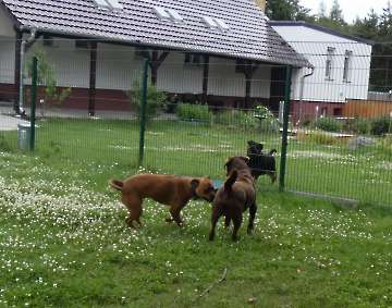 Pension_94