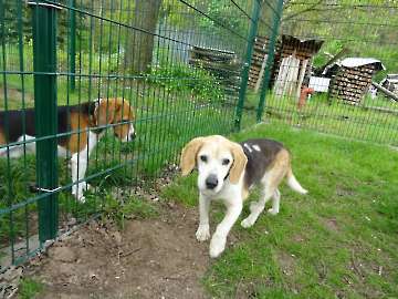 Pension_29