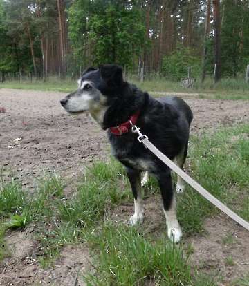 Pension_31