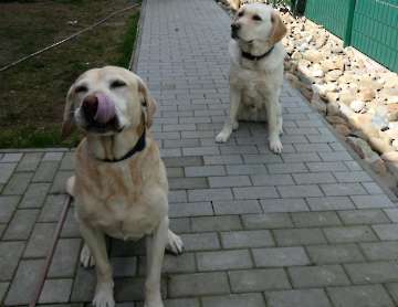 Pension_1