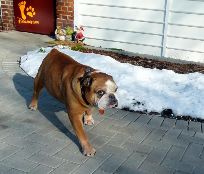 Pension_21