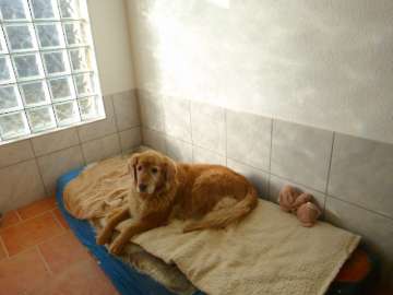Pension_82