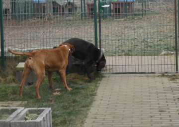 Pension_23