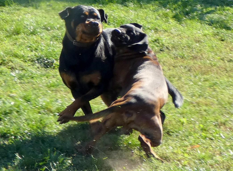 Pension_25