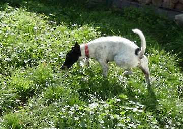 Pension_41
