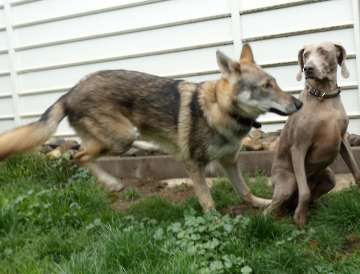 Pension_73