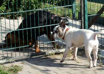 Pension_57