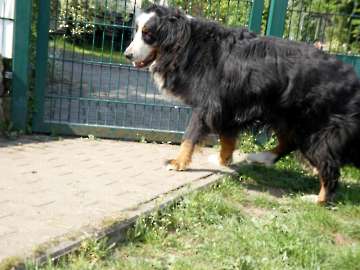 Pension_26
