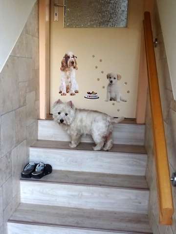 Pension_2