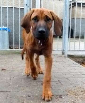 Pension_5
