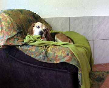 Pension_14
