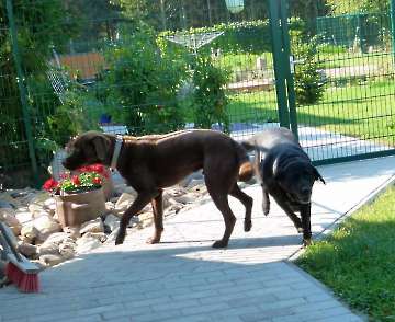 Pension_26