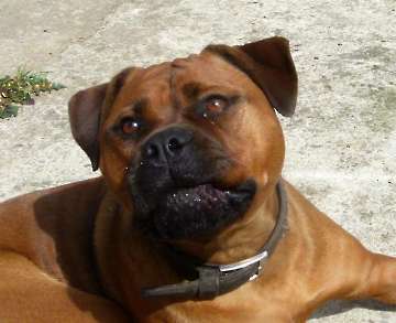 Pension_30