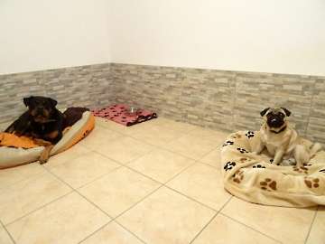 Pension_33