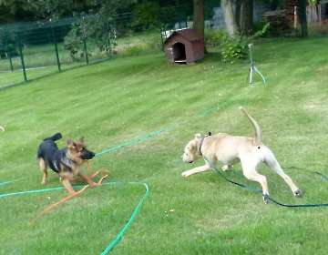 Pension_60