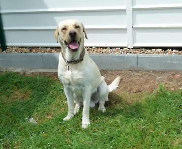 Pension_30