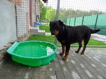 Pension_5