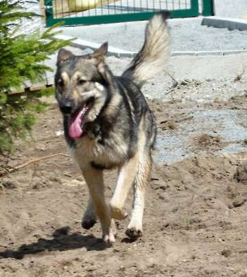 Pension_7