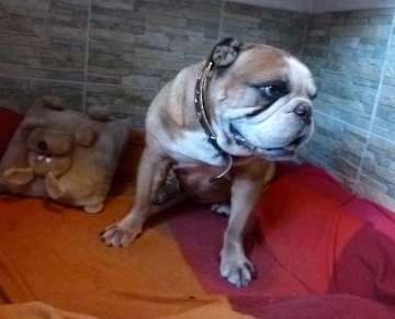 Pension_45