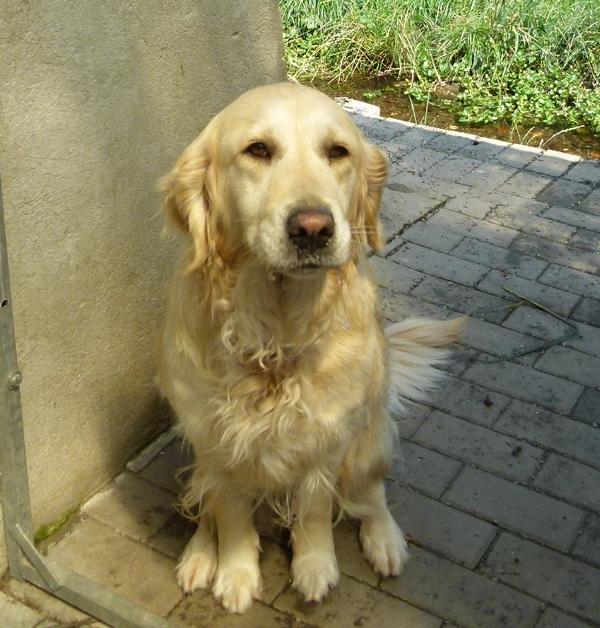 Pension_1